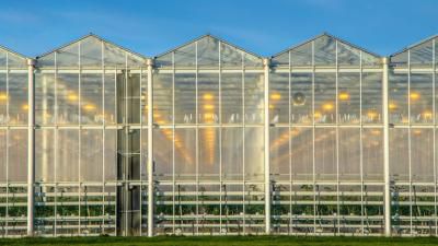 Glastuinbouw- en agrarische markt  in 2023